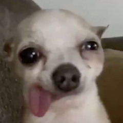 #1 izaya fan worldwide