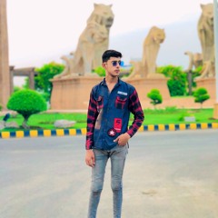 Ali Ansari
