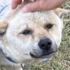 누룽이
