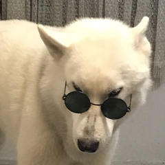 oledja
