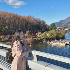 Yen Hai Le
