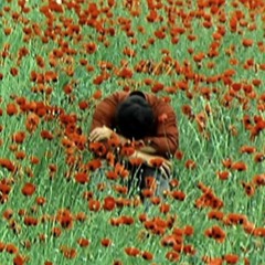 Iwokeupinagardenofcascadingflowers