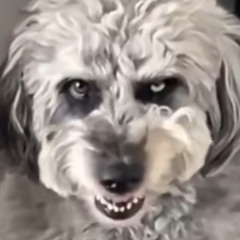 MatthewGotDigitalEyes