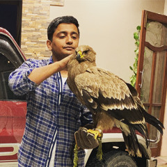Mirza Taimoor Ahmed