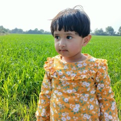 Shail Sen