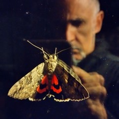 UNKNOWN PRISSON THEME REMASTERED