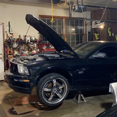 𝟐𝐨𝐬𝐢𝐞🧑🏻‍🦯‍➡️