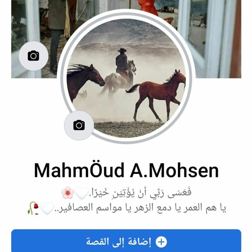 Mahmoud Ahmed’s avatar