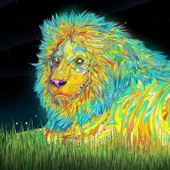 Jefferson Castiblanco