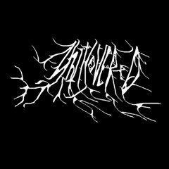 Shit Covered Condoms