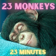 23Monkeys