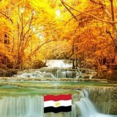 Nehal Nabil