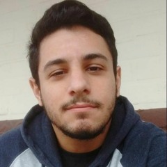 Lucas T. Góes