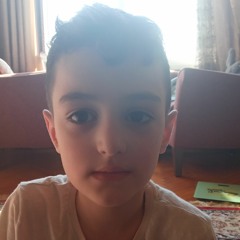 Alaa Shasho