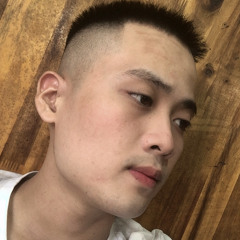 việt dũng