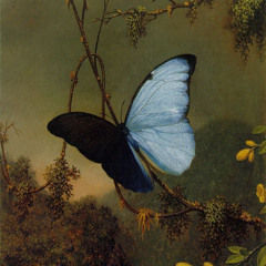 حياة 🦋