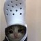 NutGoblin
