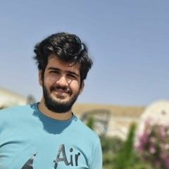 tohid musavi