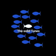 The Solid Tunes
