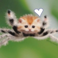 Wigger Kirk Execution