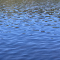 Oda Marie Bårdsdatter