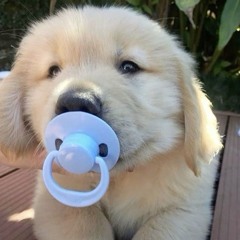 เบบี๋เบ้บ