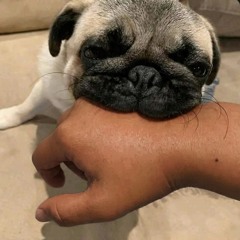 L   M   A   Y   D   ★