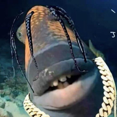 Travy Fish