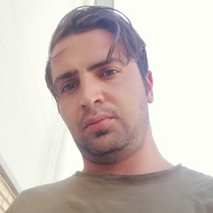 behzad
