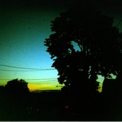 Rachel the Entomologist