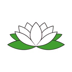 LOTUS DELAY