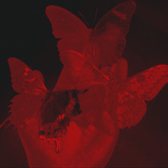 ℭ𝔯𝔶𝔰𝔱𝔞𝔩𝔰 🕊️