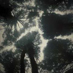 The Mid- Town Manhattaner