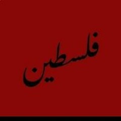 رياض منذر ربيع