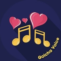 Golcha Voice 1
