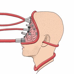 Wired experiment