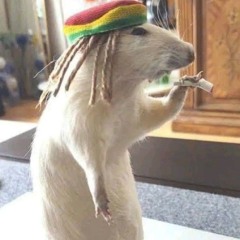 Luqi