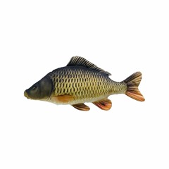 Kaprik