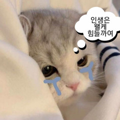 햄토리❤️