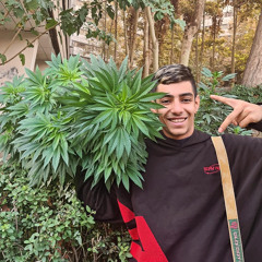 Amirmohamad Bayat