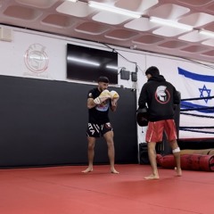 שלומי אלדי