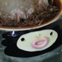 hasuhasu