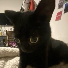 KarmaIsOmnipresent:3