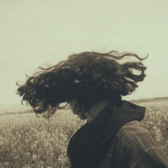 maryam amiri