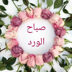 محمود عذالدين