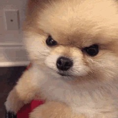 Artem