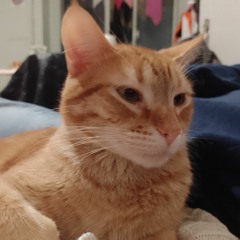 yama