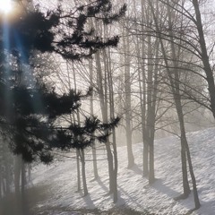 Sunny