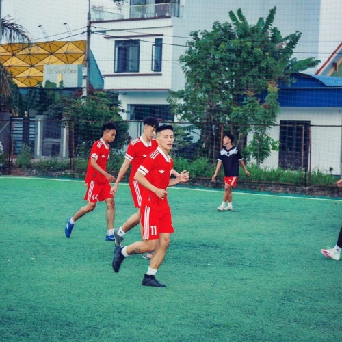 Hoa Hải Đường - ND