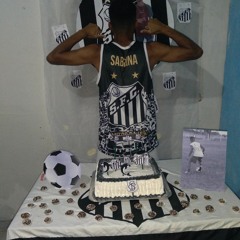 wilegool